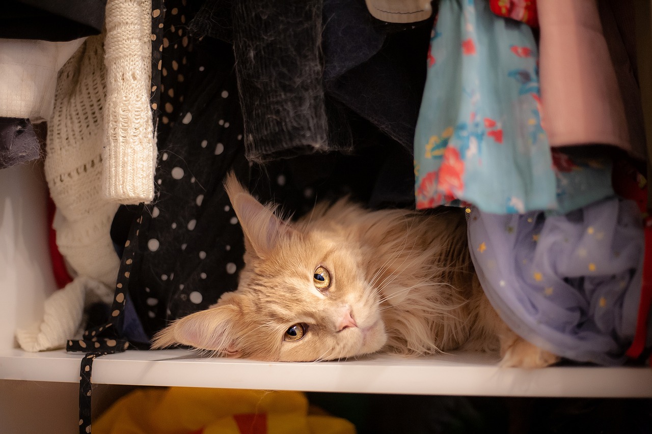 The Best Storage Solutions for Under-Sink Areas